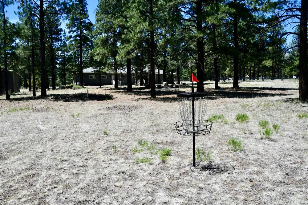 A disc golf basket in the snowy pines