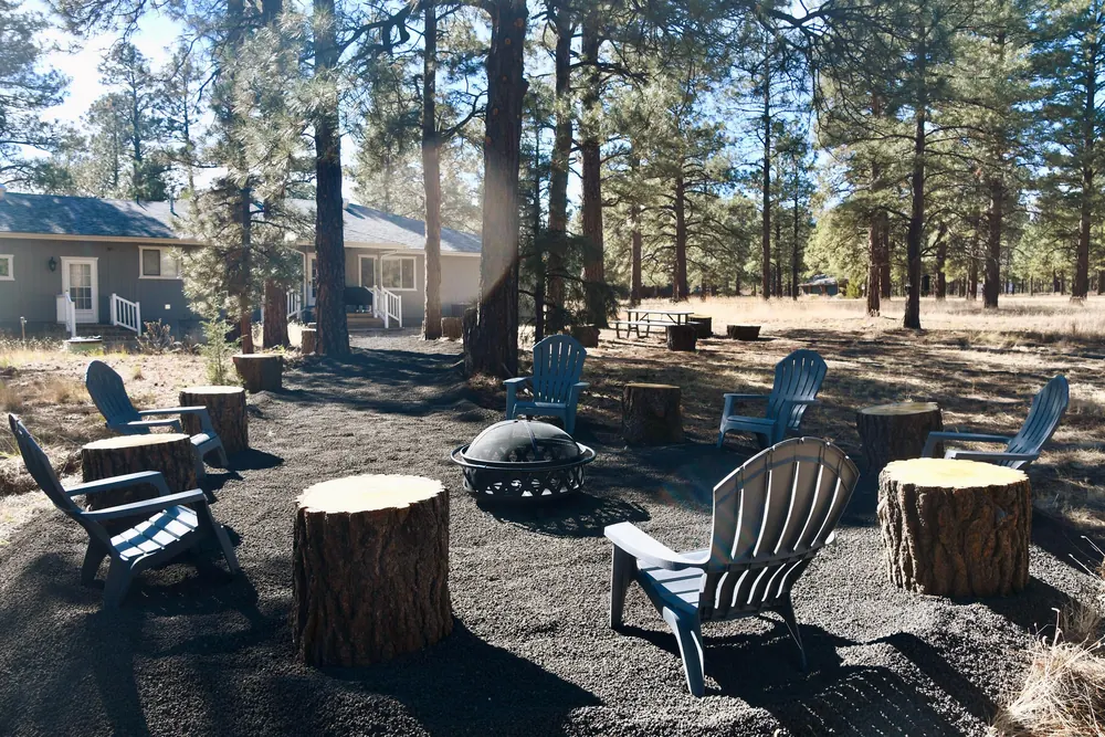 Adirondack chairs and stump seats in a circle under the pines